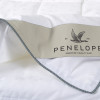 Ковдра Penelope - Celia Fine 195*215 євро