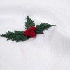 Набір столових серветок Lotus Home - Christmas Berry 48*48 (2 од)