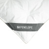 Ковдра Penelope - Dove New 6,5 tog пухова 220*240 King size