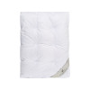 Ковдра Penelope - Gold New 6,5 tog пухова 155*215 полуторна