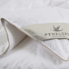 Ковдра Penelope - Dove 6,5 tog пухова 240*260 Super King size