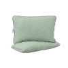 Набір ковдра з подушками Penelope - Colors in Comfort green зелений євро
