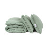 Набір ковдра з подушками Penelope - Colors in Comfort green зелений євро
