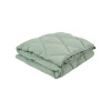 Набір ковдра з подушкою Penelope - Colors in Comfort green зелений полуторний